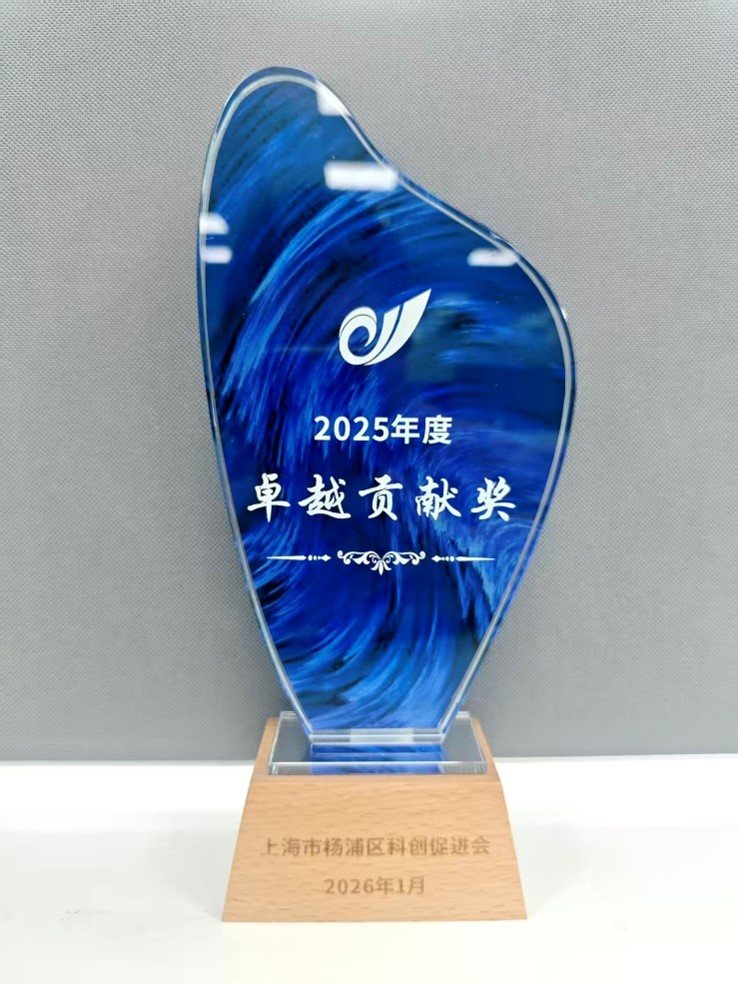 2025 年度杨浦区科创促进会卓越贡献奖奖杯